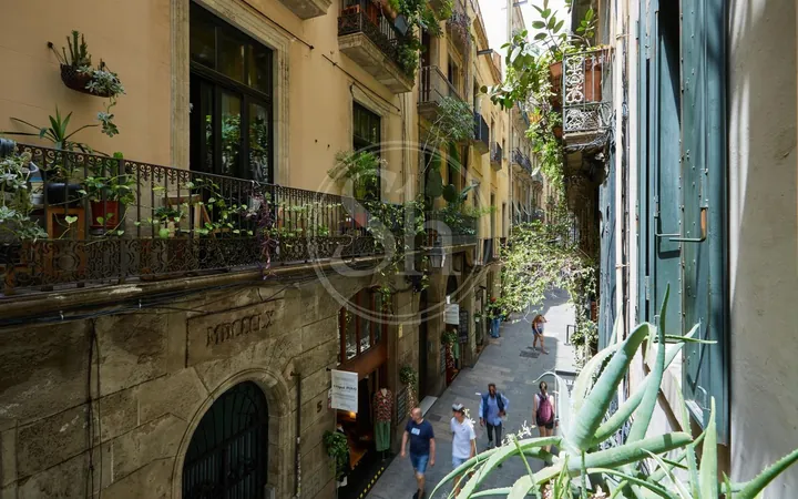 Piso en Calle dels banys nous, El Gòtic - Foto 29