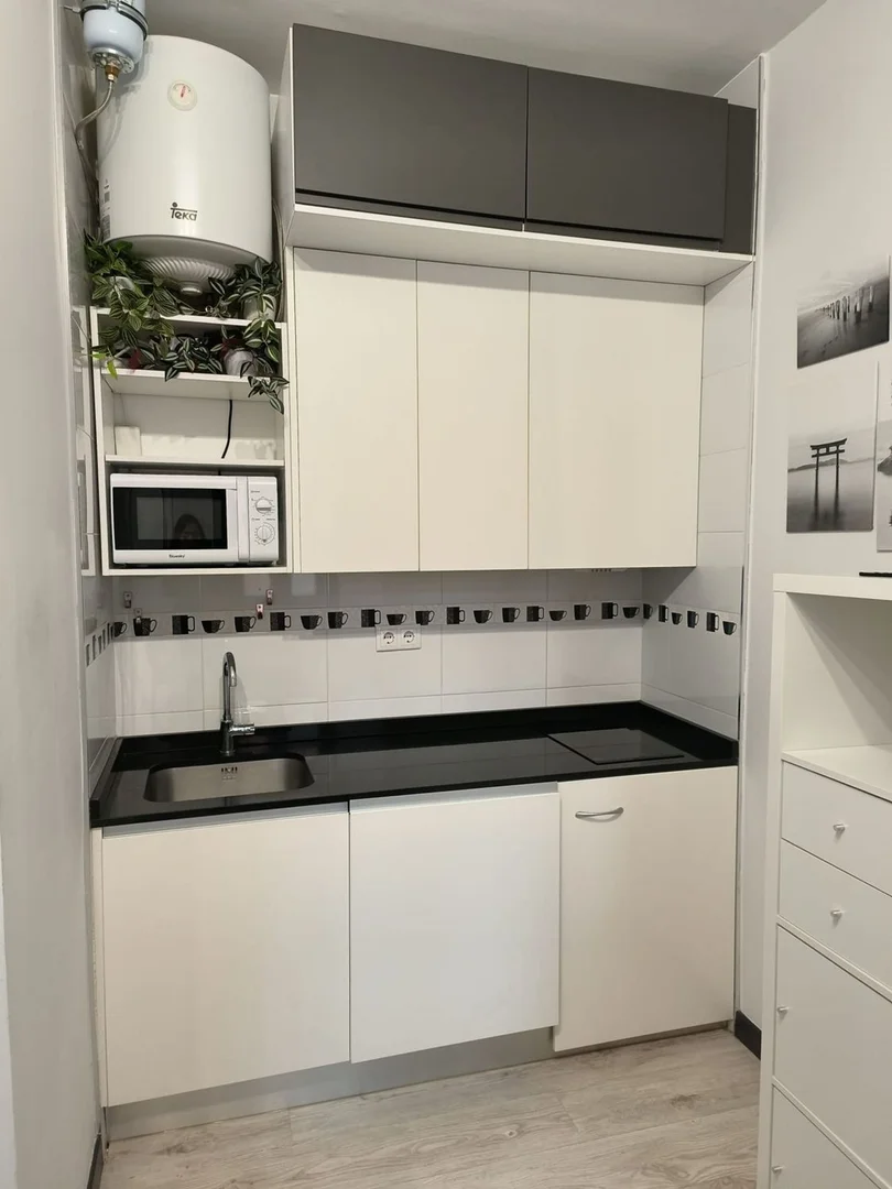 Estudio en calle de Sánchez Pacheco, 89 - Foto 4