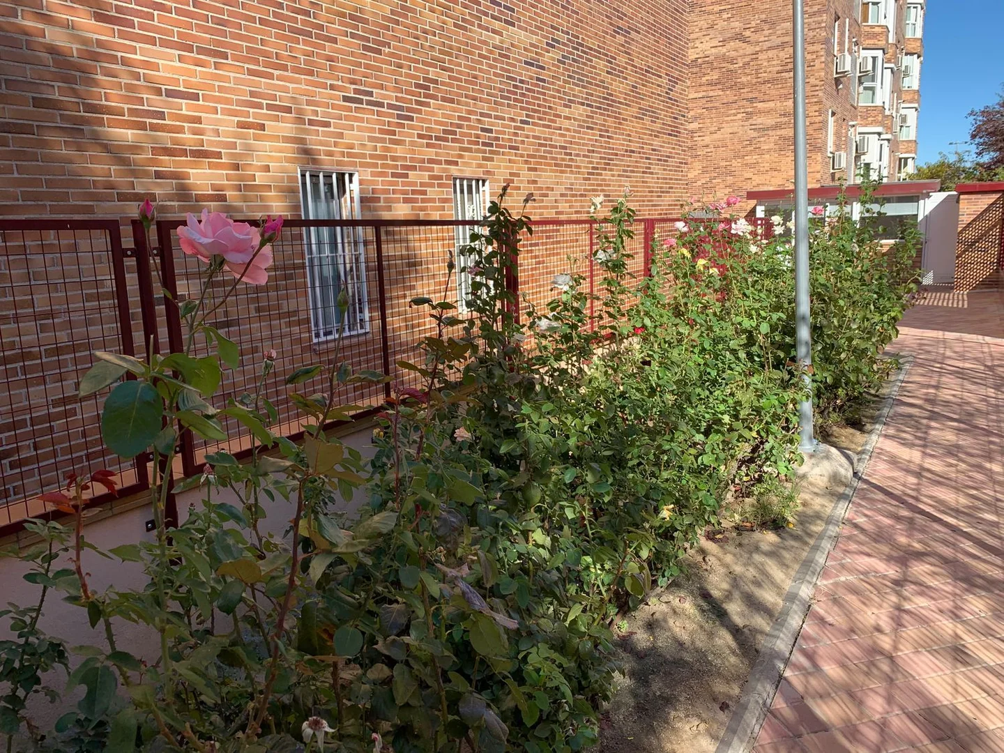 Piso en calle de Berrocal, 3 - Foto 21