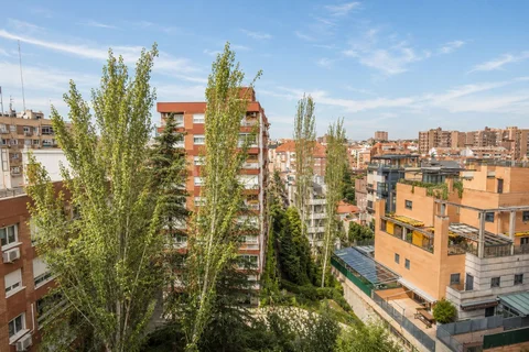 Piso en Avenida de Ramón y Cajal, 111 - Foto 19