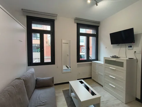 Estudio en calle de Sánchez Pacheco, 89 - Foto 3