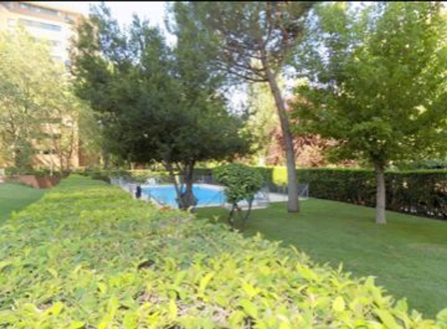 Piso en calle de Rosalía de Castro, 73 - Foto 23