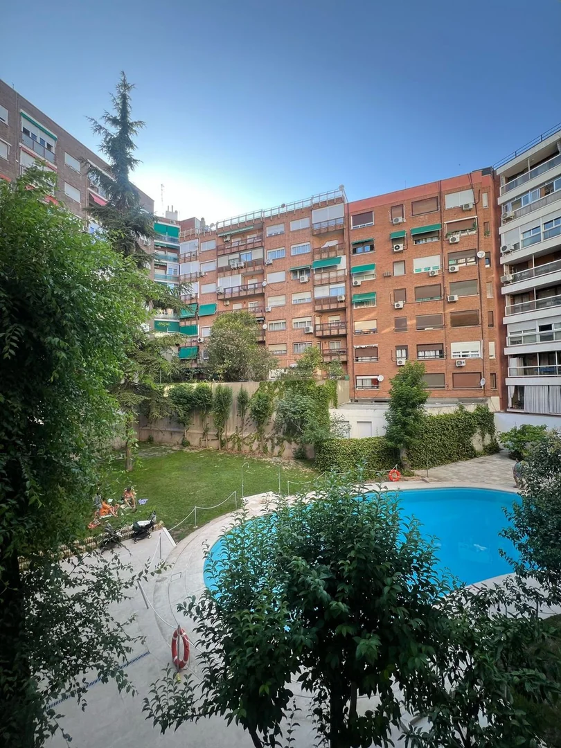 Piso en Calle de Clara del Rey, 55, Prosperidad - Foto 12