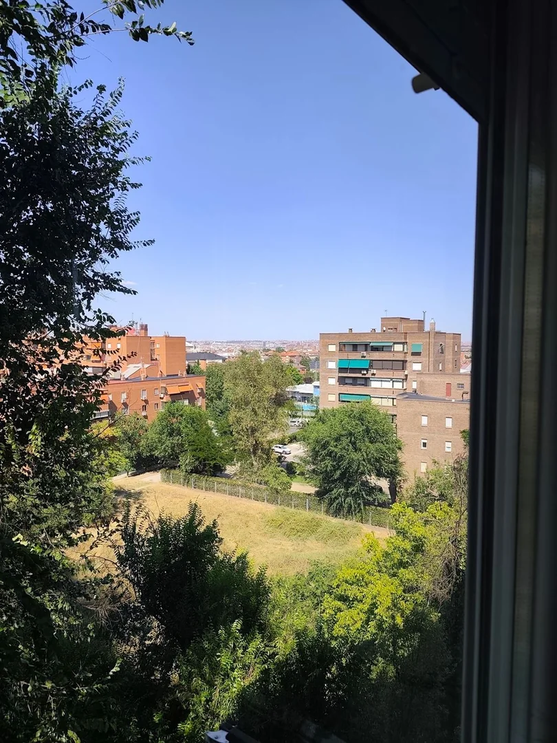 Piso en Calle de la Codorniz, 8, Vista Alegre - Foto 8