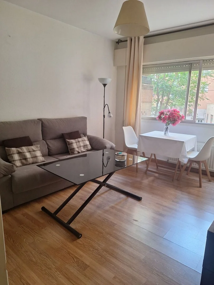 Piso en Calle Potosí, 2, Bernabéu-Hispanoamérica - Foto 23