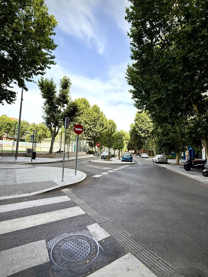Estudio en Calle de Hermenegildo Bielsa, Moscardó - Foto 20