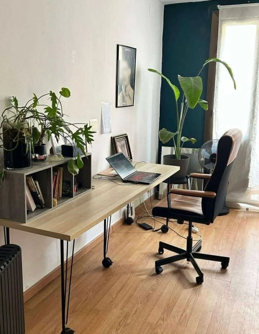 Estudio en Calle de Sant Pere Mitjà, 90, Sant Pere - Santa Caterina i la Ribera - Foto 3