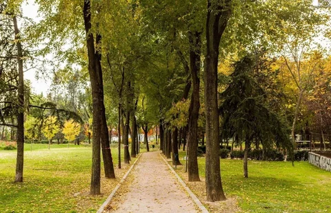 Estudio en calle del Pez Volador, 32 - Foto 20