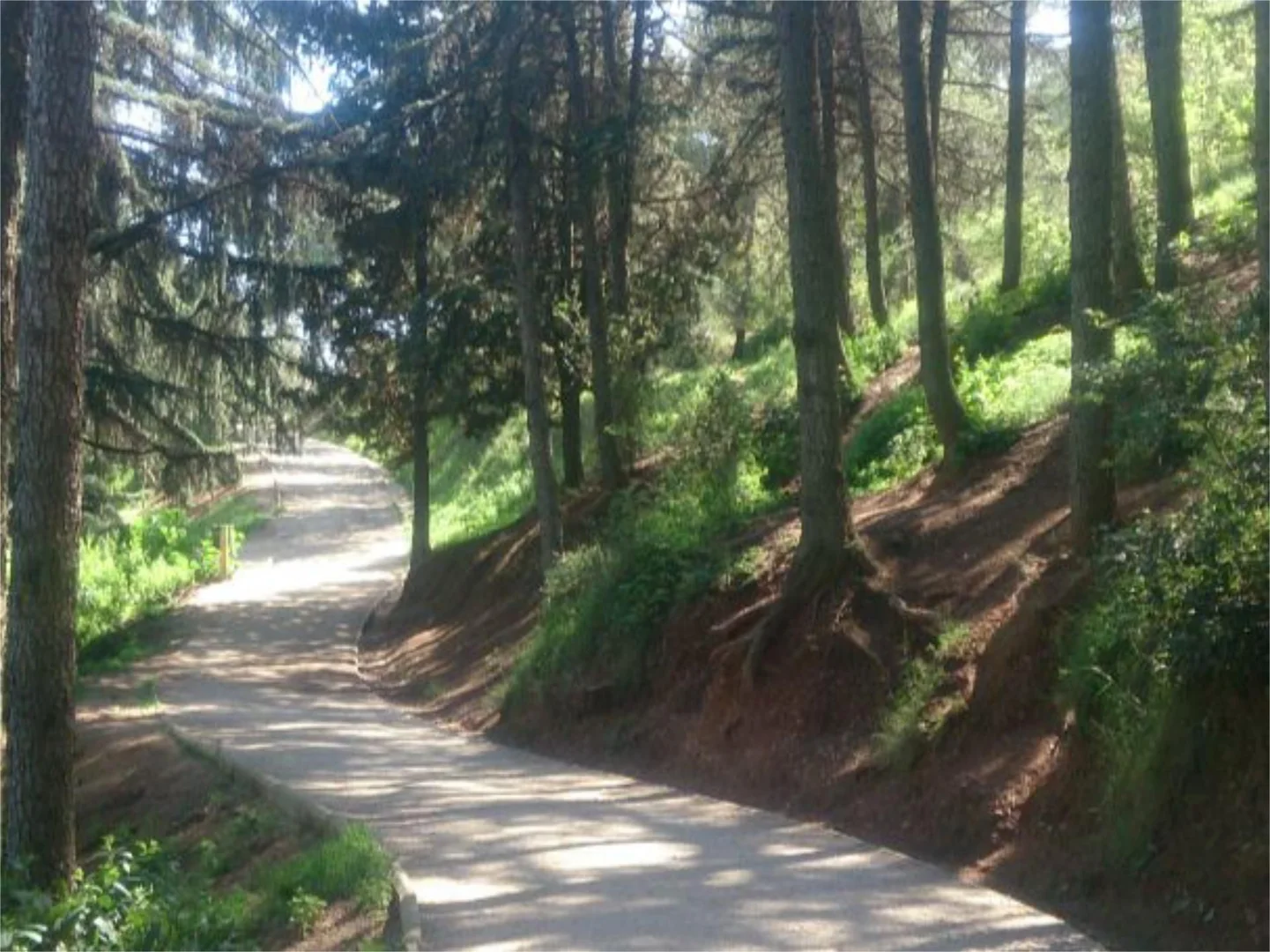 Piso en  Barcelona Capital - Foto 24