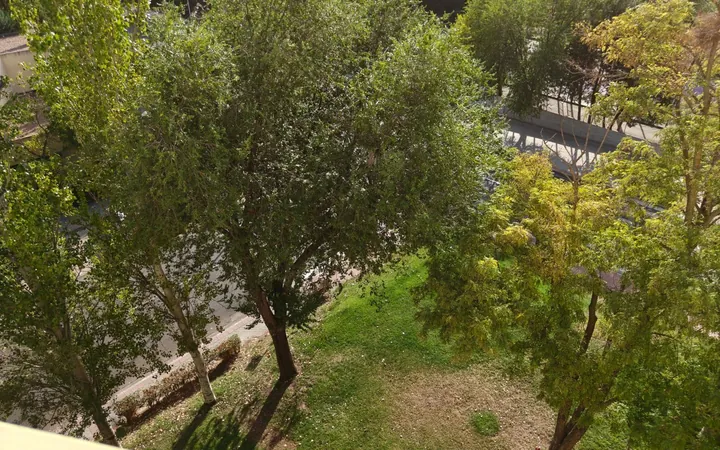 Piso en Calle de Braille, 30, Tres Olivos - Valverde - Foto 25
