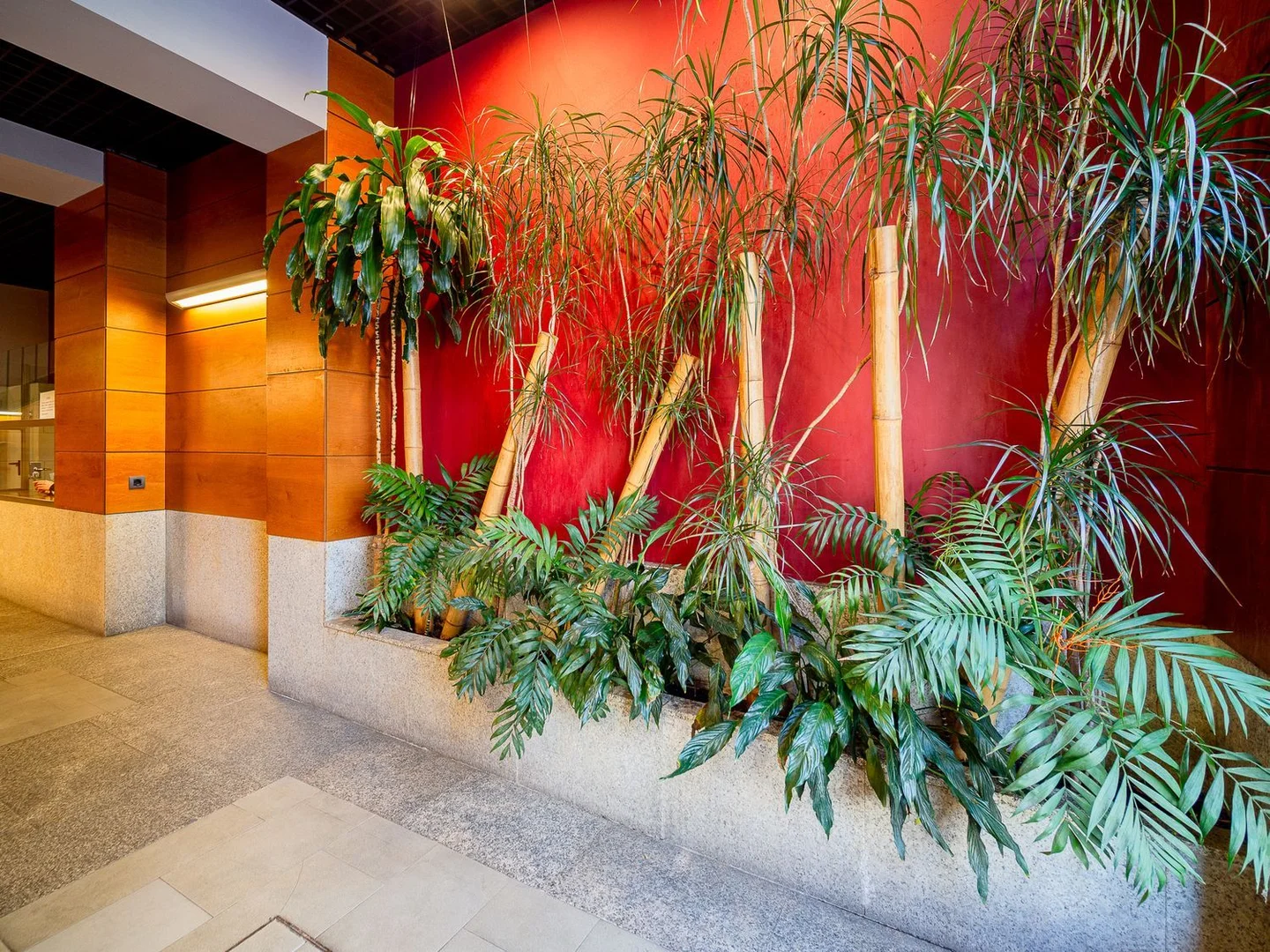 Piso en Barrio Bernabéu-Hispanoamérica - Foto 3