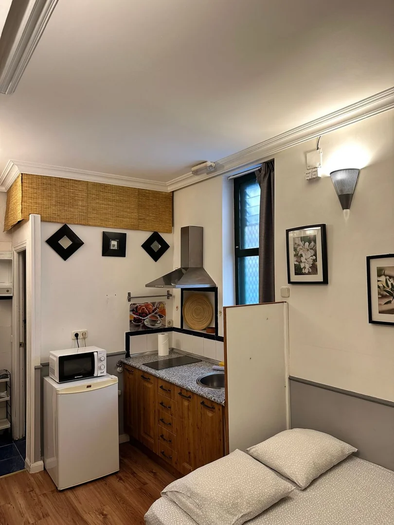 Estudio en Calle de San Buenaventura, 7, Palacio - Foto 11