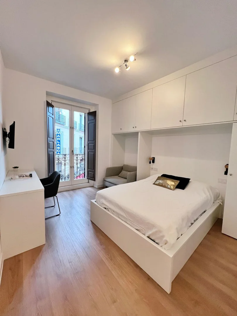 Estudio en Calle de la Cruz, Huertas-Cortes - Foto 4