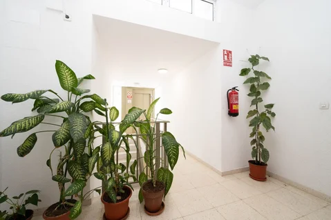 Ático en Barrio Salvador - Foto 25