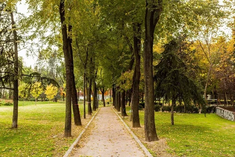 Piso en calle de Juan Esplandiú, 6 - Foto 18