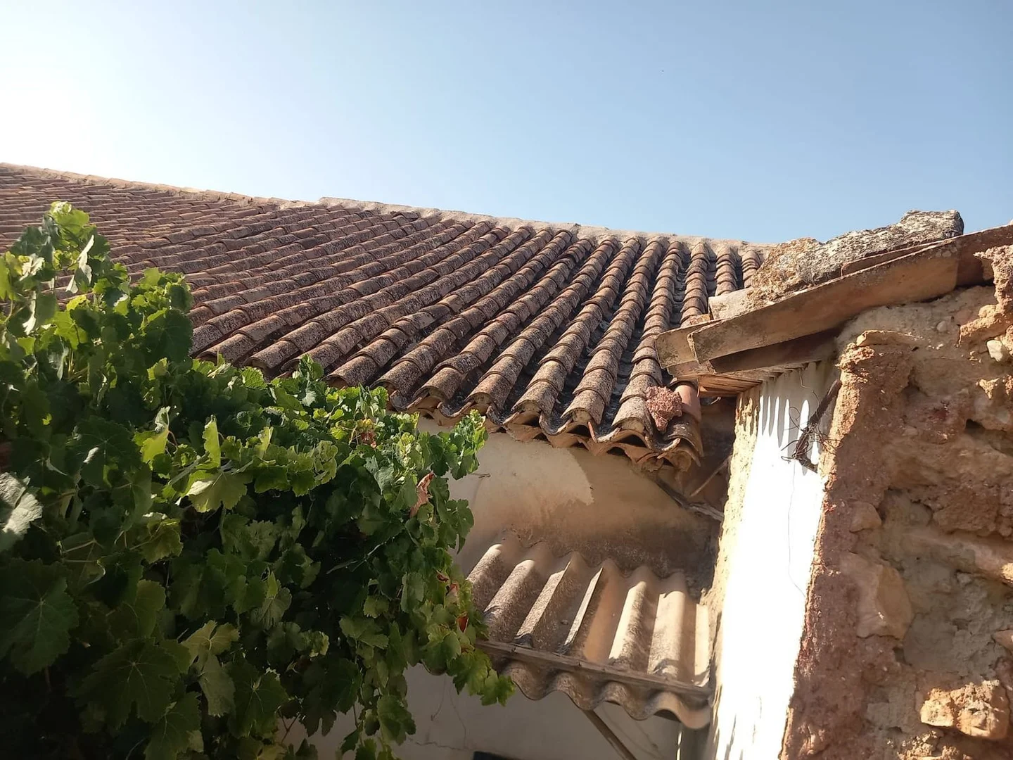 Chalet pareado en N-344, 8 - Foto 21