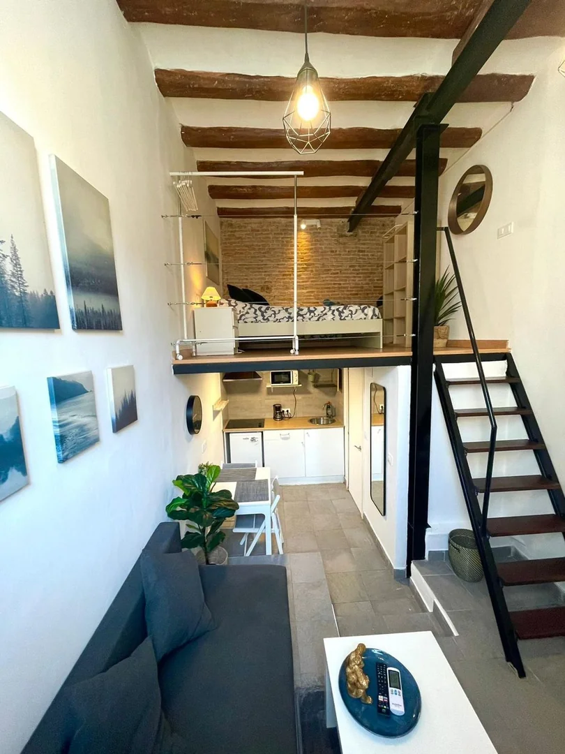 Estudio en Rambla del Raval, 14, El Raval - Foto 6