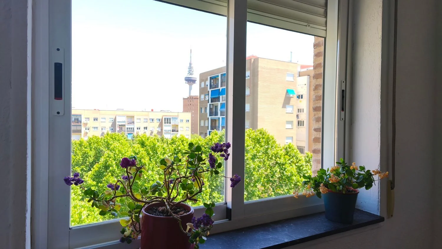 Piso en Estrella - Foto 19