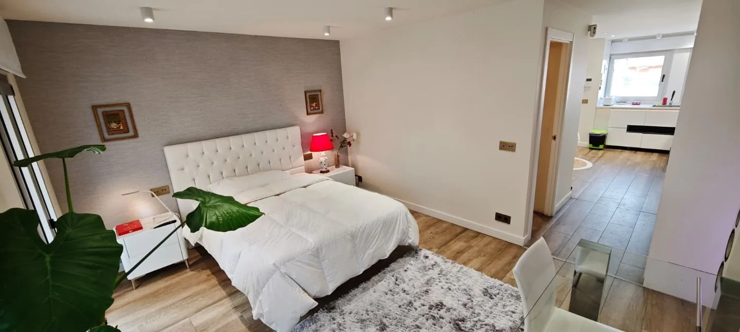 Piso en Calle de Albendiego, 13, Ventilla-Almenara - Foto 8