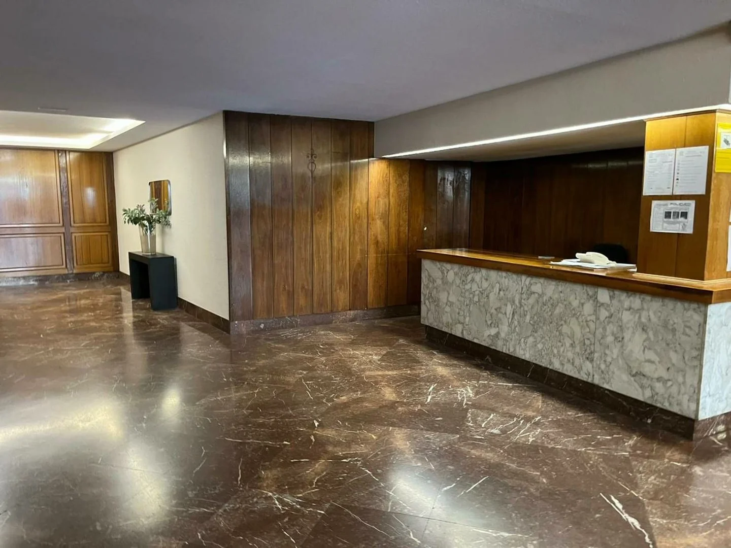 Piso en Lopez de Hoyos, 66