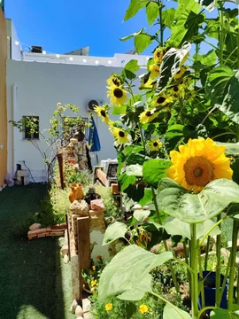 Casa independiente en calle María Nicolasa, 9 -11 - Foto 29