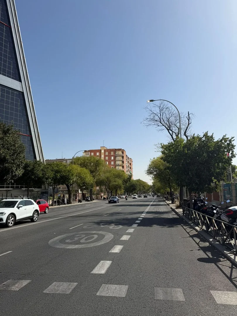 Piso en Paseo de la Castellana, Castilla - Foto 27