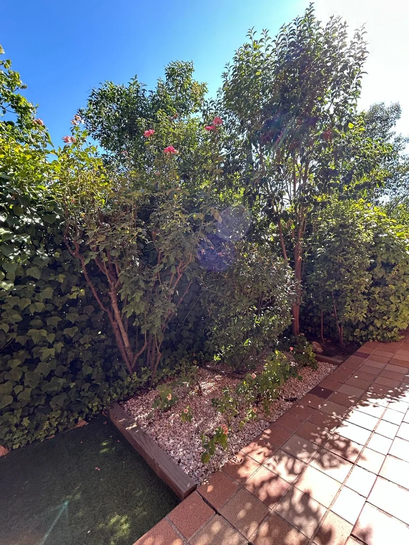 Piso en Calle Ardales, 16, Aravaca - Foto 16