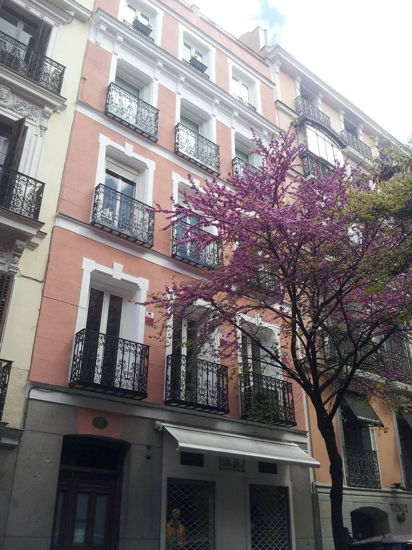 Piso en Calle Almirante, 7, Chueca-Justicia - Foto 16