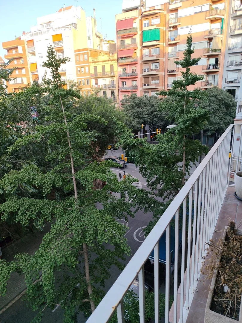 Piso en Calle del Comandant Benítez, 7, La Maternitat i Sant Ramon - Foto 3