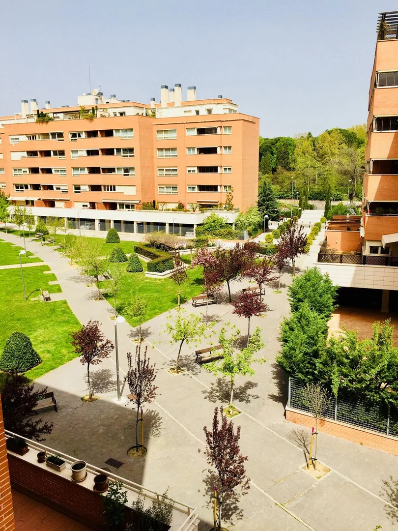 Piso en paseo de la Alameda de Osuna, 50 - Foto 11