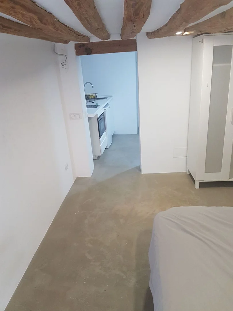 Estudio en Calle Salitre, 31, Lavapiés-Embajadores - Foto 15