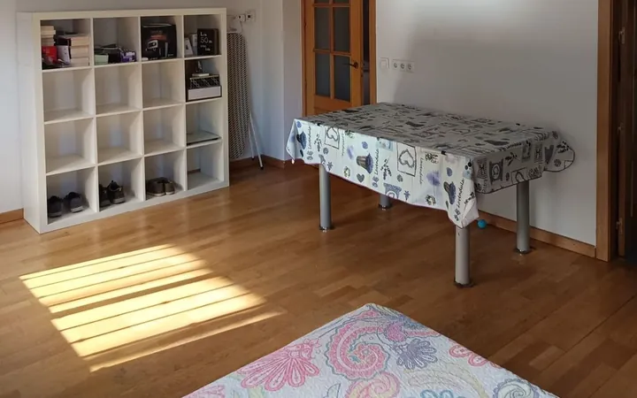 Estudio en Calle de Pedro Campos, 16, Opañel - Foto 8