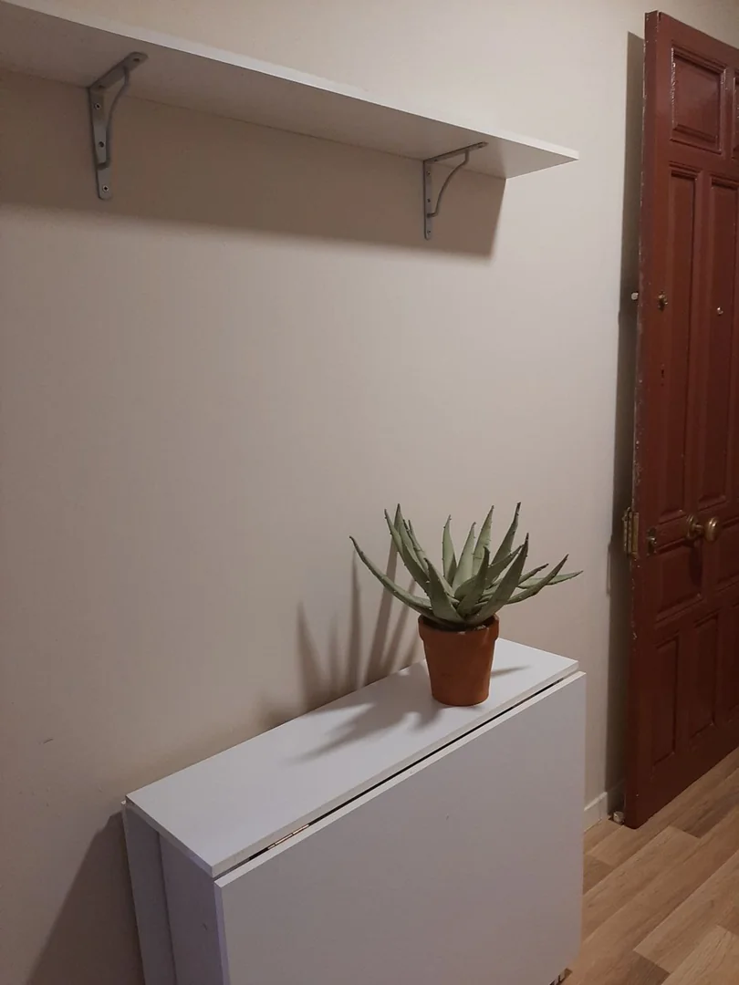 Estudio en Calle del Cardenal Cisneros, 33, Trafalgar - Foto 14