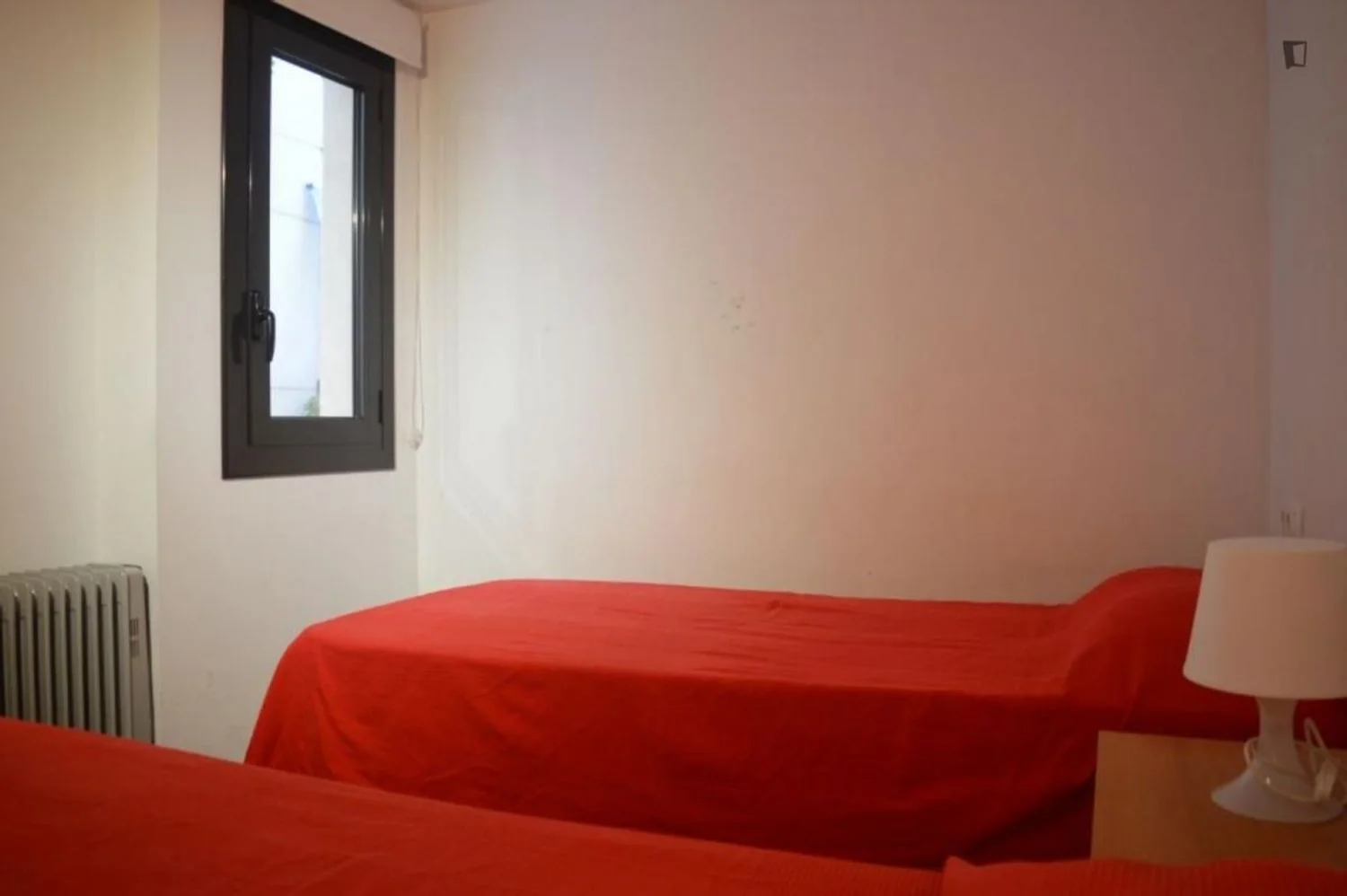 Estudio en Calle del Peu de la Creu, El Raval - Foto 7