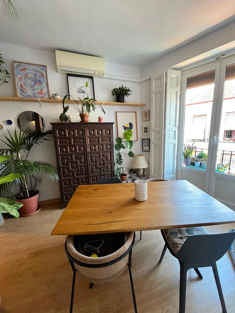 Piso en Calle de Lavapiés, 45, Lavapiés-Embajadores - Foto 7
