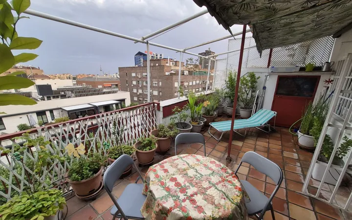 Ático en Calle de Clara del Rey, 45, Prosperidad - Foto 29