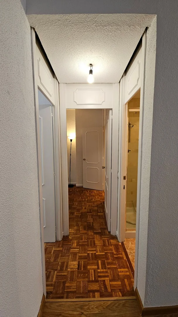 Piso en Calle de Hermosilla, 80, Goya - Foto 2