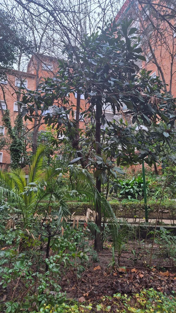 Piso en calle de San Marcelo, 11