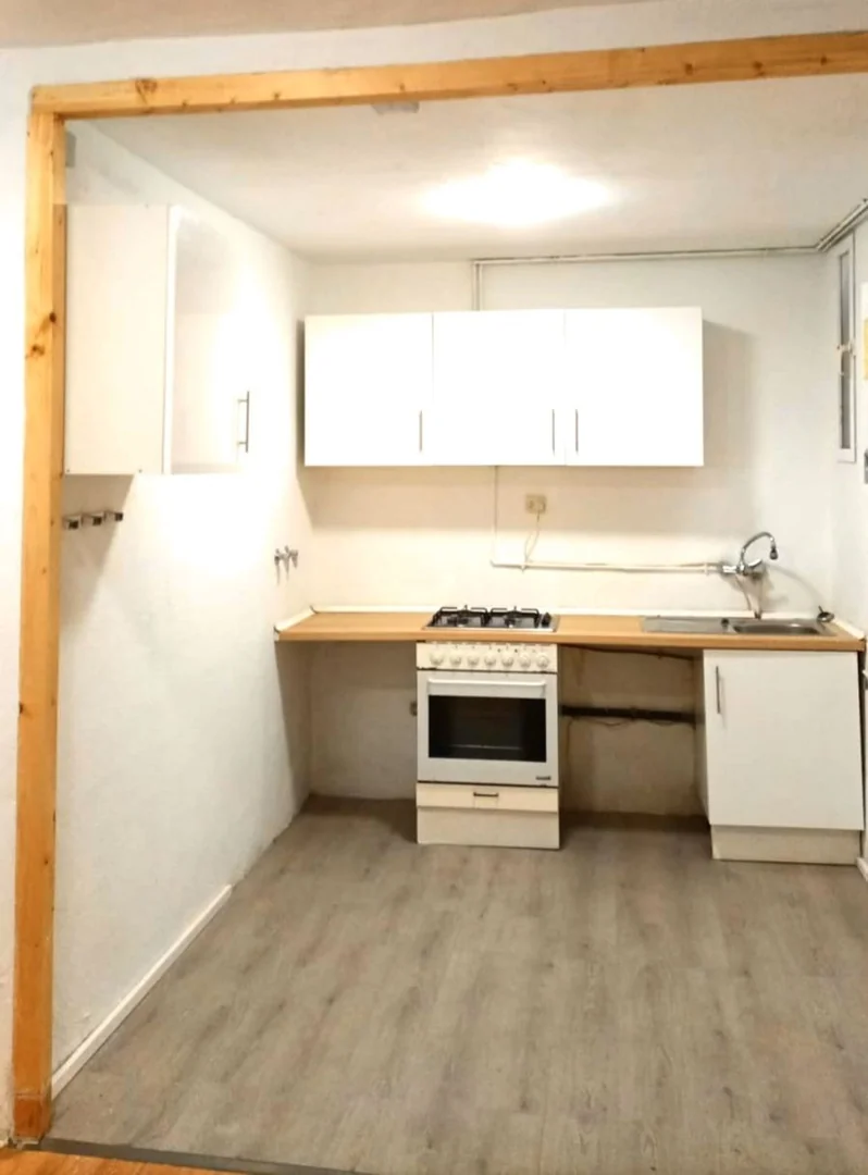 Piso en Calle de Atocha, 96, Lavapiés-Embajadores - Foto 4