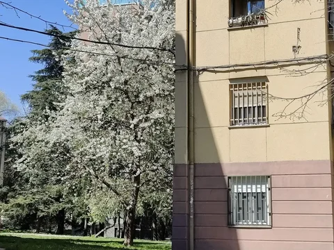 Piso en  Calle de San Magín 15 - Foto 2