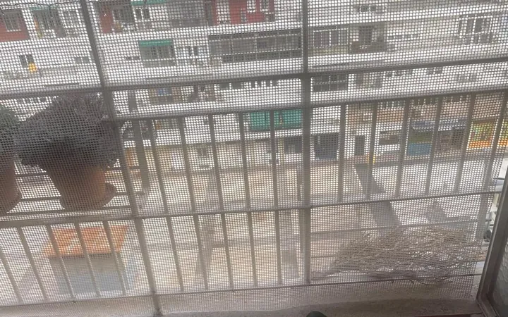 Piso en Avenida Donostiarra, 9 - Foto 2