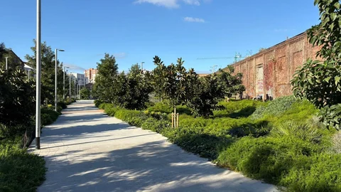 Piso en Barrio La Marina del Port - Foto 23