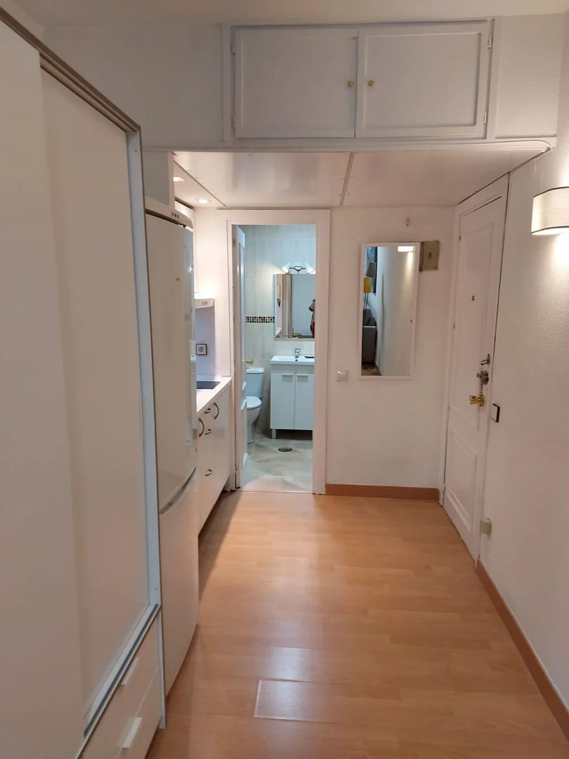 Estudio en calle de Goya, 34 - Foto 5