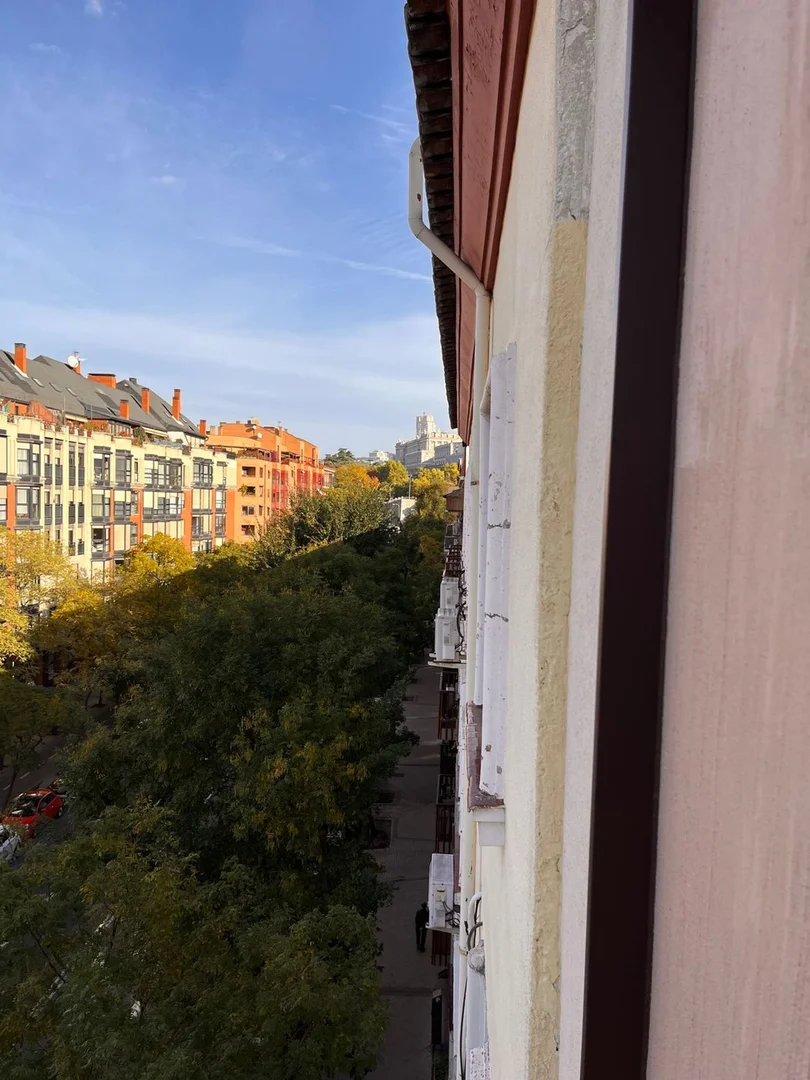 Piso en ronda de Segovia, 15 - Foto 9