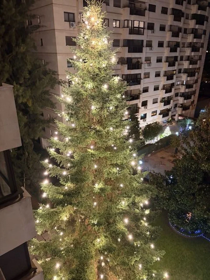 Piso en calle de Julio Palacios, 15 - Foto 22