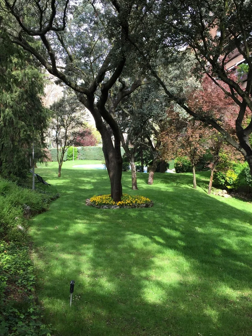 Piso en cantalejo, 4 - Foto 13