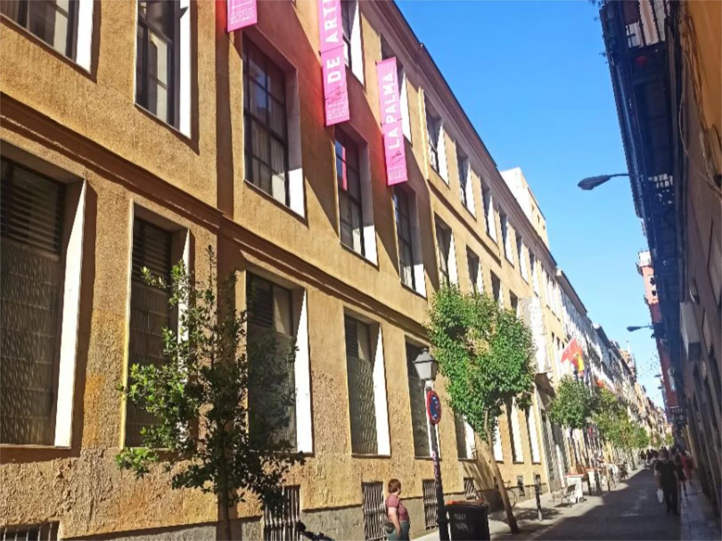 Estudio en  Calle de la Palma 49