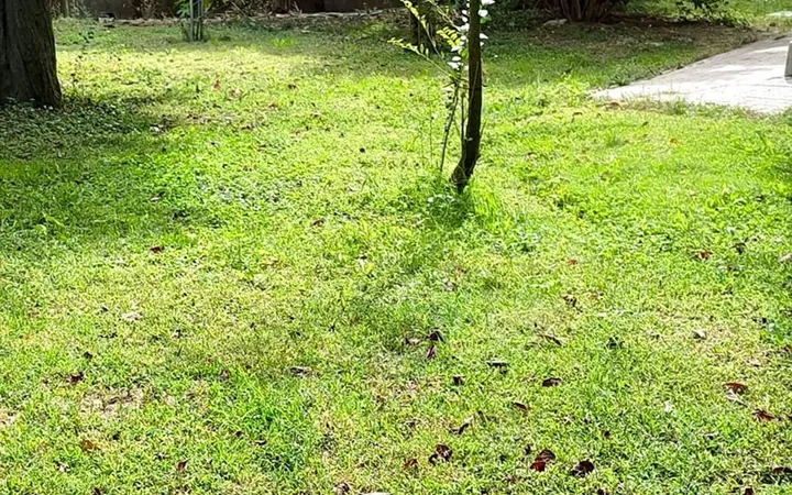 Piso en Canillejas, Canillejas - Foto 15