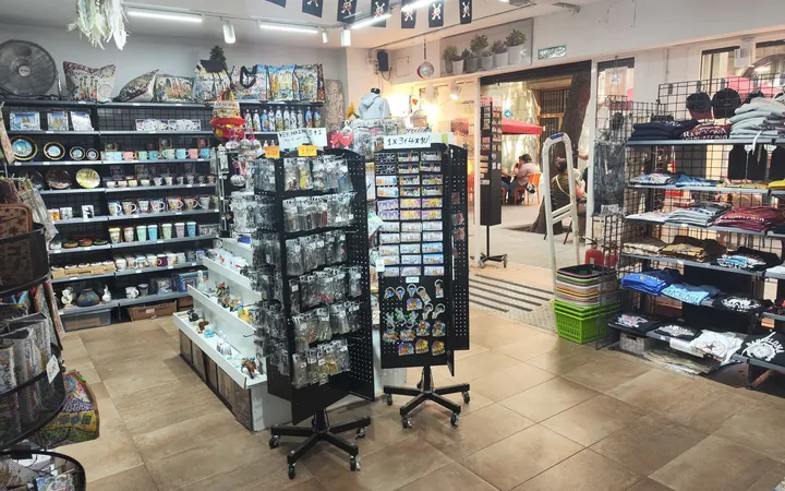 Local en Tienda de menaje de hogar en Plaza del Bonsuccés, 7, El Raval - Foto 1