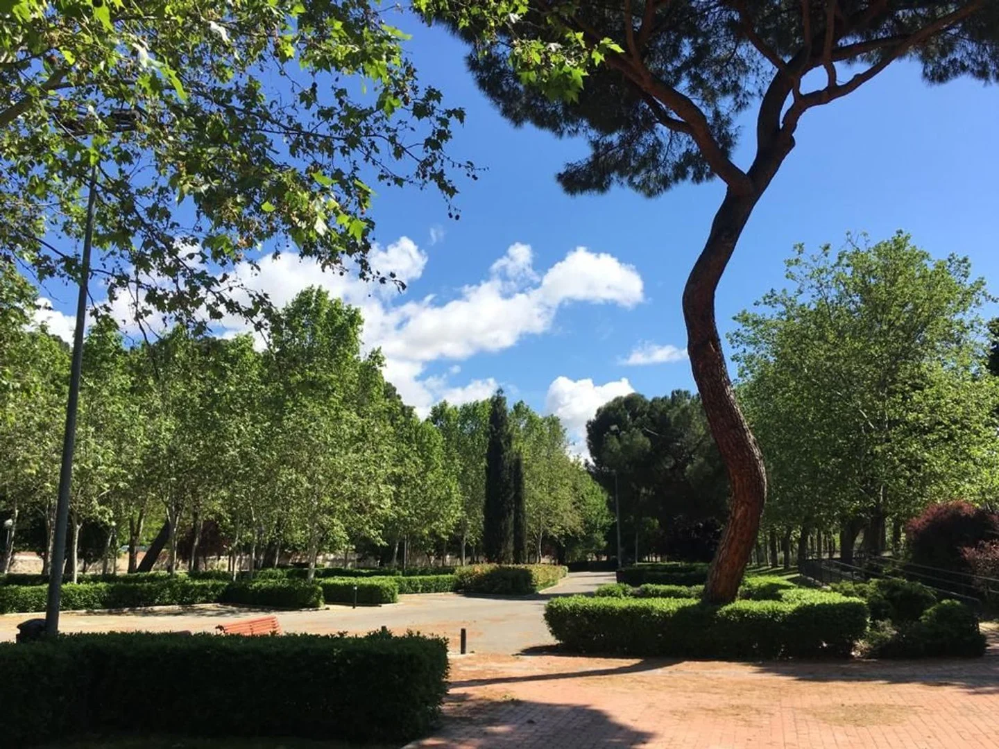 Piso en paseo de la Alameda de Osuna, 50 - Foto 25